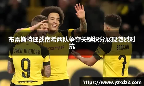 布雷斯特迎战南希两队争夺关键积分展现激烈对抗