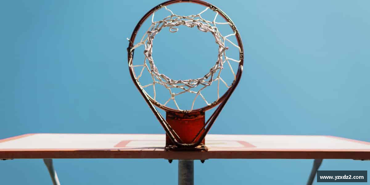 了解bb贝博艾弗森官方网站